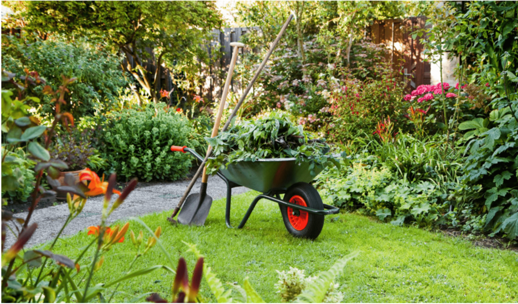 Brouette au milieu d'un jardin